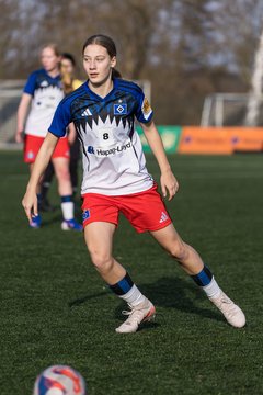 Bild 361 - wBJ Hamburger SV - Hertha BSC : Ergebnis: 2:1